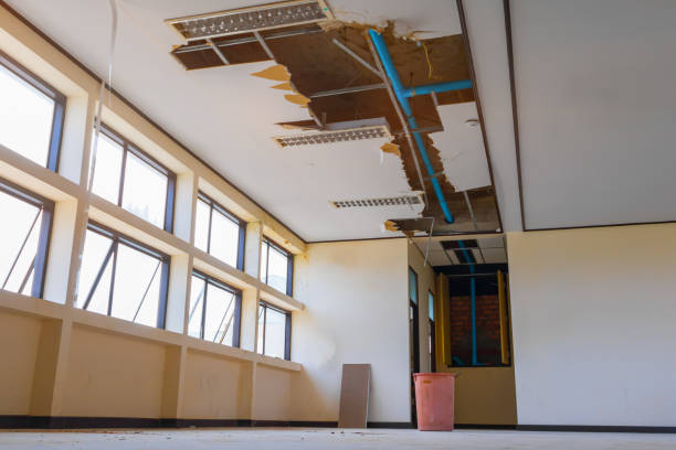 Best Ceiling water damage repair  in Mclouth, KS
