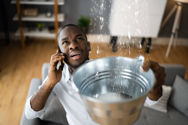 Best Professional water damage repair  in Mclouth, KS