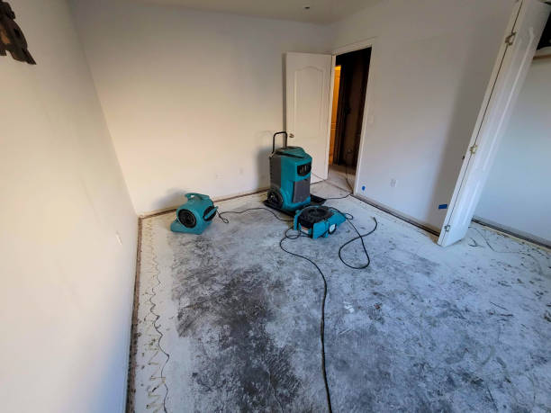 Best Local water damage restoration  in Mclouth, KS