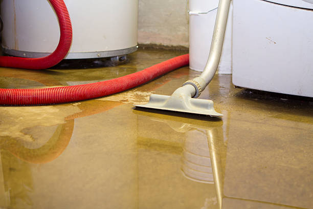 Best Commercial water damage restoration  in Mclouth, KS