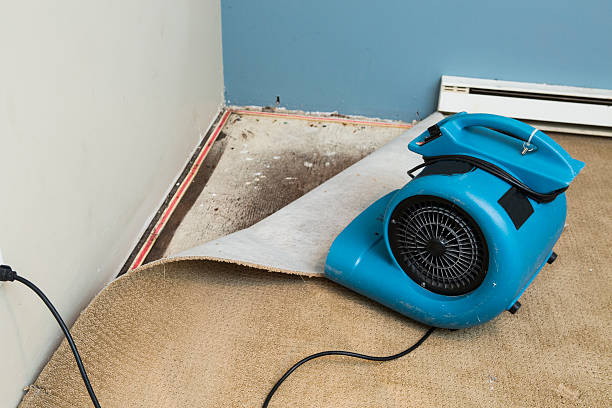 Best Water damage restoration near me  in Mclouth, KS