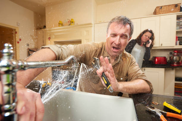 Best Water damage restoration mold remediation  in Mclouth, KS